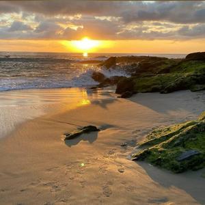 三十路四十路五十路完熟动画
